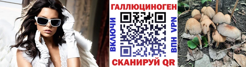 где купить наркотик  Пугачёв  Псилоцибиновые грибы ЛСД 