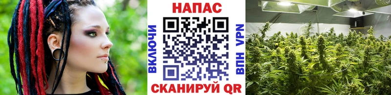 купить  сайты  это состав  Канабис план  Пугачёв 